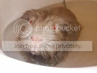 Kawadasbath6.jpg