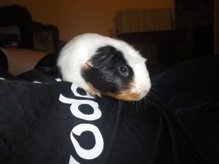 Photo0002.jpg