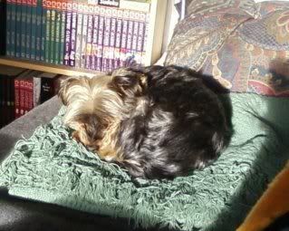 charley-1.jpg