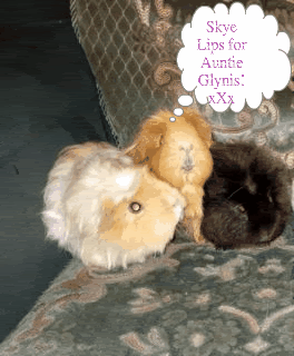 cute-1.gif