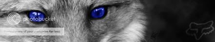 ~The Wolf/Fox Pack~ banner