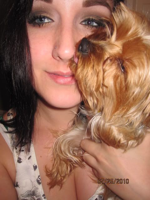 Photobucket Doesnt Look Much Different From The Pics On Top Of Everything I Had On Before I Added Urban Decay Virgin E S Naked E S Half Baked E S Photobucket Doesnt Look Much Different From The Pics On Top Of Everything I Had On Before I Added Urban Decay Virgin E S Naked E S Half Baked E S
