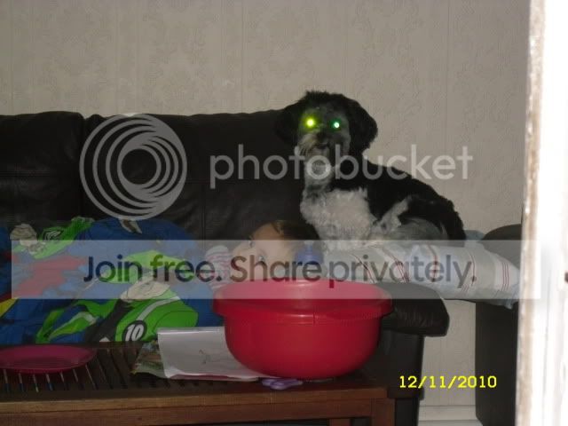 nov10004.jpg